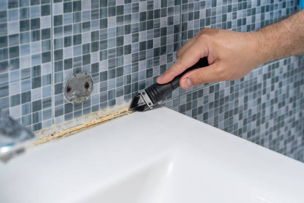 Trusted Wayne, NE Mold Remediation Experts