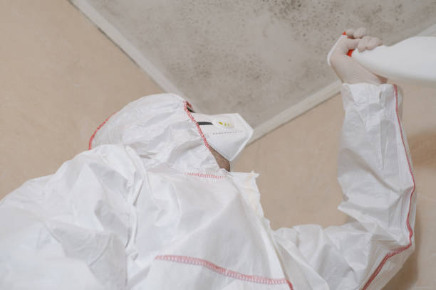 Best Mold Testing and Inspection Services in Way, NE